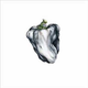 Ween--'Even If You Don't'